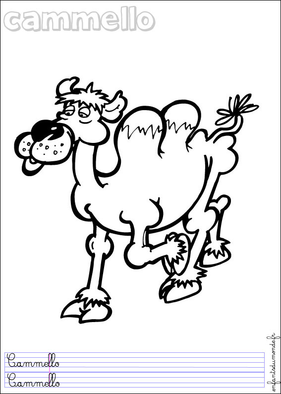 coloriage chameau 1